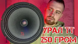 Обзор новинки УРАЛ ТТ ГРОМ 250 / Мидрейндж / 25и сантиметровый среднечастотный динамик /UralZvuk