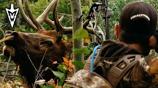 Jared's First Bull Elk, Crazy Close Encounters | Pt.2 | Midwest Whitetail