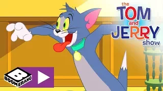 Tom i Jerry Show | Psie dni | Cartoonito