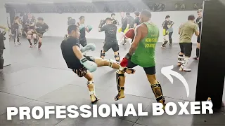 Professional Boxer Tries Muay Thai/MMA Sparring