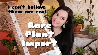 Rare Plant Import Unboxing! Stunning Philodendron, Homalomena and Syngonium from Indonesia!