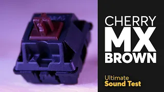 The Ultimate CHERRY MX BROWN Sound Test | Overrated Tactile Switch?