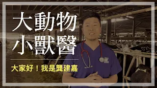 大動物醫生的熱血日常——《大動物小獸醫：做牛做馬的出診人生》