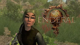 5 fighting tips for Enderal (no spoilers)