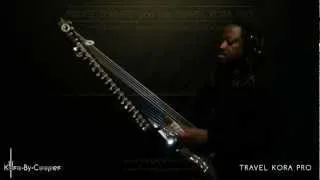 Prince Diabate's Travel Kora Pro