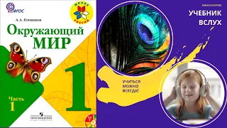 Окружающий мир 1 класс ч.1, тема урока "Что такое Родина", с.10-11, Школа России