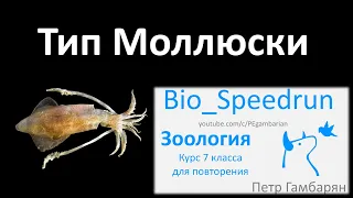 8. Тип Моллюски (Speedrun зоология 7 класс, ЕГЭ, ОГЭ 2021)