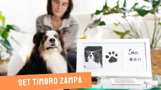 AMARI paws stamp set istruzioni