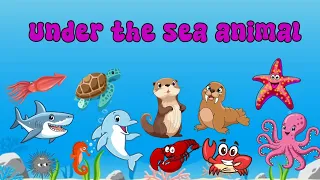 Learn Sea Animals Name - Sea Animals - Aquatic Animals for kids - Ocean Animal Videos