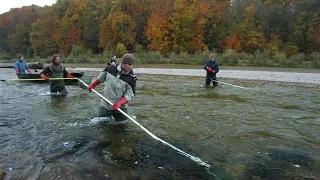 Isar: Die Äschenregion