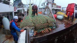 краткое ознакомительное видео по полному циклу добычи о обработки рыбы на судне МРКТ