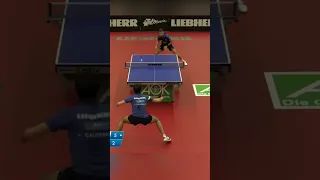 😲Two Hand Backhand! #wtt #pingpong #tabletennis