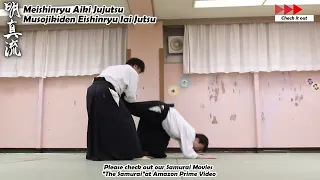 Meishinryu Aikido techniques 明真流　合気道の稽古 #aikido #合気道 #天照会 2024 0521 01