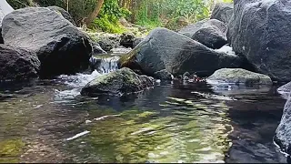 The natural sound of this river is very beautiful. Good for relaxation therapy and insomnia.