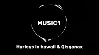 Harleys in hawail & Qisqanax music