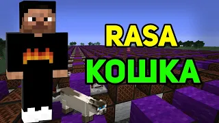 Minecraft музыка - Кошка (RASA) | НОТНЫЙ БЛОК