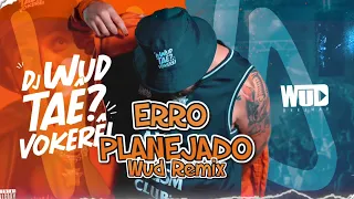 Erro Planejado - Luan Santana ft. Henrique e Juliano (Wud Remix)