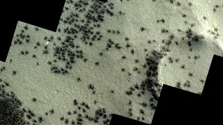 Hundreds of black 'spiders' spotted in mysterious 'Inca City' on Mars in new satellite photos