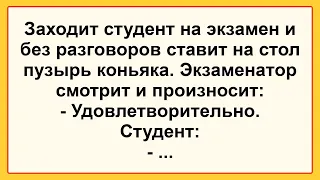 Сборник Остреньких Анекдотов для Настроения! Студент на Экзамене ...! Юмор!