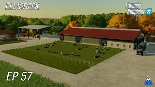 ZDEJ PA BO MLEKA! | Farming Simulator 22 - Elmcreek | Epizoda 57