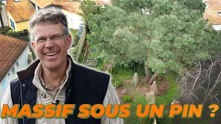 COMMENT CRÉER UN MASSIF SOUS UN PIN ? - Que Faire Dans Mon Jardin ?