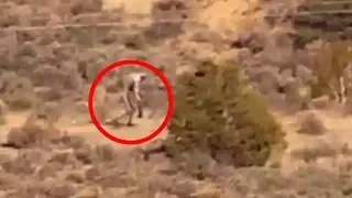 9 Most SCARY Desert Sightings!