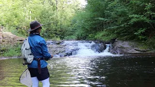 FLY FISHING PORCUPINE MOUNTAINS | UPPER PENINSULA OF MICHIGAN: HIKING ALONG BIG & LITTLE CARP CREEK