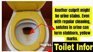 Why do toilet seats get yellow stains?