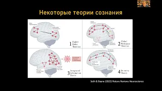 Константин Анохин "Сознание в нейронных гиперсетях"