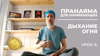 Дыхание огня. Пранаяма для начинающих. Очищение крови. Урок 6.