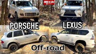 Lexus GX460 vs Porsche Cayenne Turbo - Off-road Comparison