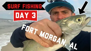 Fort Morgan, Alabama Surf Fishing Day 3