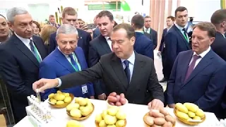 Отчетный ролик Золотая осень 2019