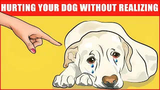 14 Ways You Are Hurting Your Dog Without Realizing It