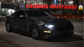 First Car Meet In My CAMMED E85 2018 Mustang GT!!!