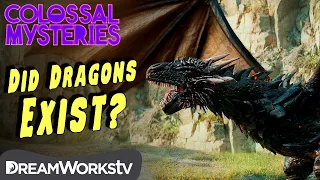 Did Dragons Ever Exist? | COLOSSAL MYSTERIES