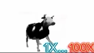 Polish cow 1X 2X 3X 4X 5X 7X 10X 25X 50X 999X Speed.