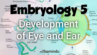 Embryology 5 - Development of Eye and Ear