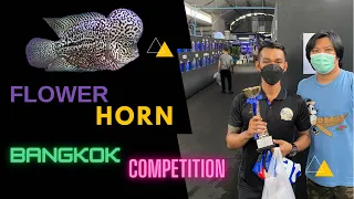 Flower Horn Bangkok Competition 2022