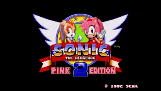 Sonic The Hedgehog 2 Pink Edition