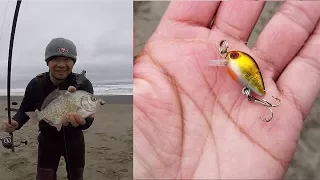Surf Fishing with a Tiny Crankbait