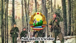 Sub măreț tricolor - Under the great banner - Romanian Military Music