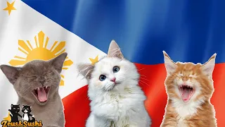 Philippine National Anthem With Lyrics - Cats Song Cover