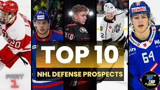 Top 10 Defense Prospects in The NHL | Part 1