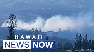 Hundreds on Maui, Hawaii Island flee homes as Dora's winds fuel raging brush fires