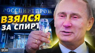 Путин взялся за водку, у "сутенера" Кабаевой обыск, кринж по-русски. Ваши деньги