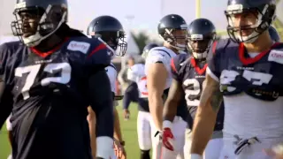 Brian Cushing "Badass" Highlights