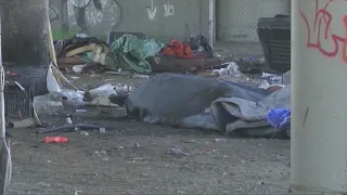 Berkeley unsheltered homelessness nearly halved in two years: report