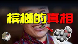 讓六億人著迷的果子，到底有什麼魔力，一次講清楚檳榔的真相。