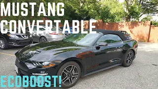Ford Mustang Ecoboost Convertible - 2019 Review